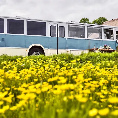 Beachbus Terra Incognito Westerland